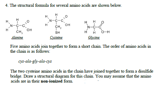 4. The structural fomula for several amino acids are shown below.
H
H.
N-C-c
H.
H
он
H
он
CH,
O-H
SH
H
Alanine
Cysteine
Głycine
Five amino acids join together to form a short chain. The order of amino acids in
the chain is as follows:
cys-ala-gly-ala-cys
The two cysteine amino acids in the chain have joined together to form a disulfide
bridge. Draw a structural diagram for this chain. You may assume that the amino
acids are in their non-ionized form.
