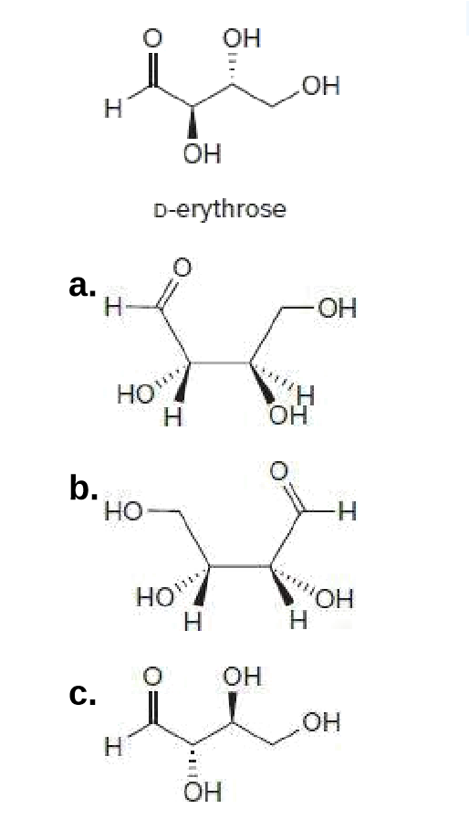 он
Н
HO
ОН
D-erythrose
a.
Н-
HO-
Но"
Н
он
b.
HO
H-
HO"
Н
""ОН
OH
C.
HO.
ОН
