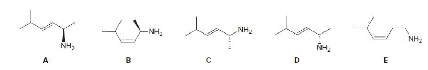 NH2
NH2
NH2
NH2
NH2
