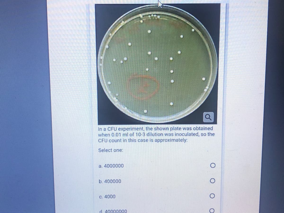 In a CFU experiment, the shown plate was obtained
when 0.01 ml of 10-3 dilution was inoculated, so the
CFU count in this case is approximately:
Select one:
a. 4000000
b. 400000
C. 4000
d. 40000000
