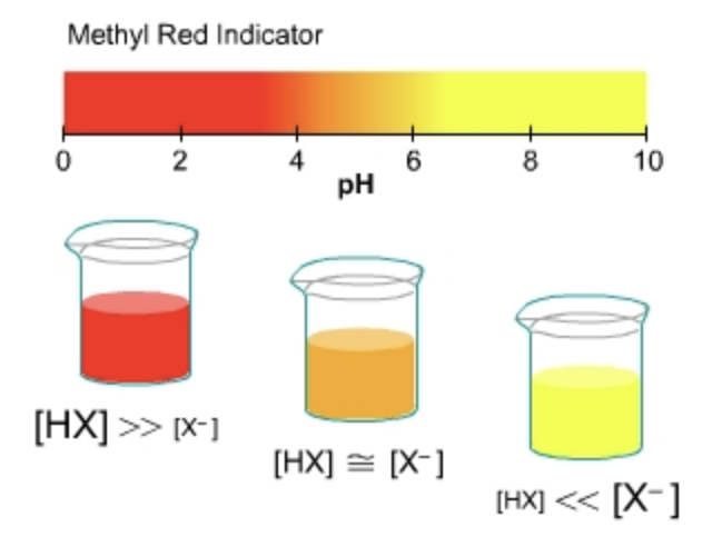 Methyl Red Indicator
4
pH
2
8
10
[HX] >> [x-1
[HX] = [X-]
[HX] << [X-]
