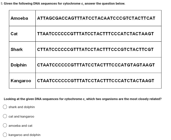 5. Given the following DNA sequences for cytochrome c, answer the question below.
Amoeba
Cat
Shark
Dolphin
ATTAGCGACCAGTTTATCCTACAATCCCGTCTACTT CAT
cat and kangaroo
TTAATCCCCCCGTTTATCCTACTTTCCCATCTACTAAGT
amoeba and cat
CTTATCCCCCCGTTTATCCTACTTTCCCGTCTACTTCGT
Kangaroo CTAATCCCCCCGTTTATCCTAСТТТСССАТСТАСТАAGT
CTAATCCCCCCGTTTATCCTACTTTCCCATGTAGTAAGT
Looking at the given DNA sequences for cytochrome c, which two organisms are the most closely related?
shark and dolphin
kangaroo and dolphin