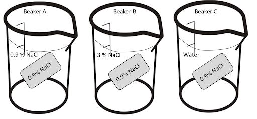 Beaker A
Beaker B
Beaker C
0.9 % NaCl
3 % NaCi
0.9% Nacl
Water
0.9% NaCI
0.9% NaCi
