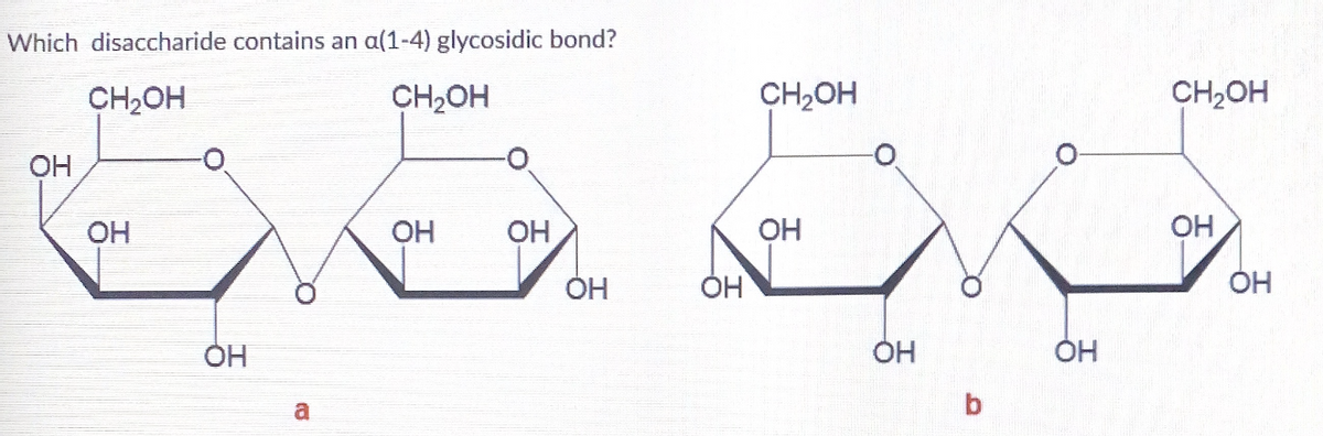 Which disaccharide contains an a(1-4) glycosidic bond?
CH2OH
CH,OH
CH2OH
CH2OH
OH
OH
OH
OH
OH
OH
ÓH
ÓH
