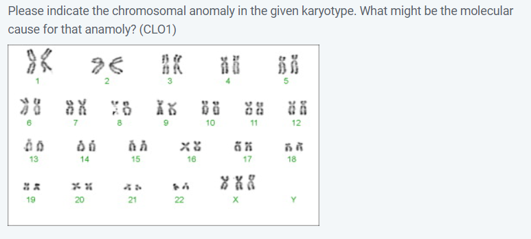 Please indicate the chromosomal anomaly in the given karyotype. What might be the molecular
cause for that anamoly? (CLO1)
3
》8 お
10
11
12
13
14
15
16
17
18
**
19
20
21
22

