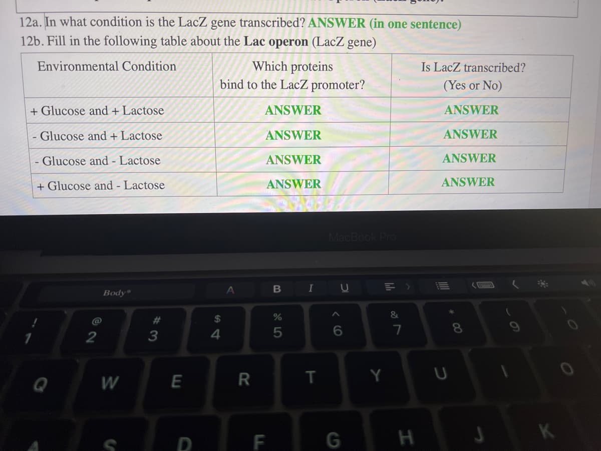 12a. In what condition is the LacZ gene transcribed? ANSWER (in one sentence)
12b. Fill in the following table about the Lac operon (LacZ gene)
Environmental Condition
+ Glucose and + Lactose
Glucose and + Lactose
- Glucose and - Lactose
+ Glucose and - Lactose
Q
2
Body"
W
#3
E
D
Which proteins
bind to the LacZ promoter?
ANSWER
ANSWER
ANSWER
ANSWER
$
4
A
R
F
B
%
5
I
T
MacBook Pro
A
U
6
G
Y
&
7
H
Is LacZ transcribed?
(Yes or No)
ANSWER
ANSWER
ANSWER
ANSWER
||||
U
8
K