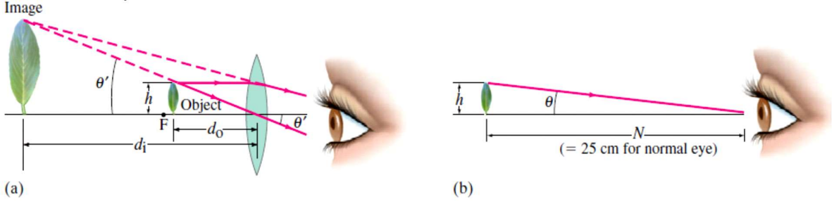 Image
Object
e'
Op-
-N-
(= 25 cm for normal eye)
-4p-
(а)
(b)
