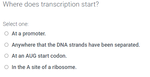 Where does transcription start?
Select one:
At a promoter.
O Anywhere that the DNA strands have been separated.
O At an AUG start codon.
O In the A site of a ribosome.
