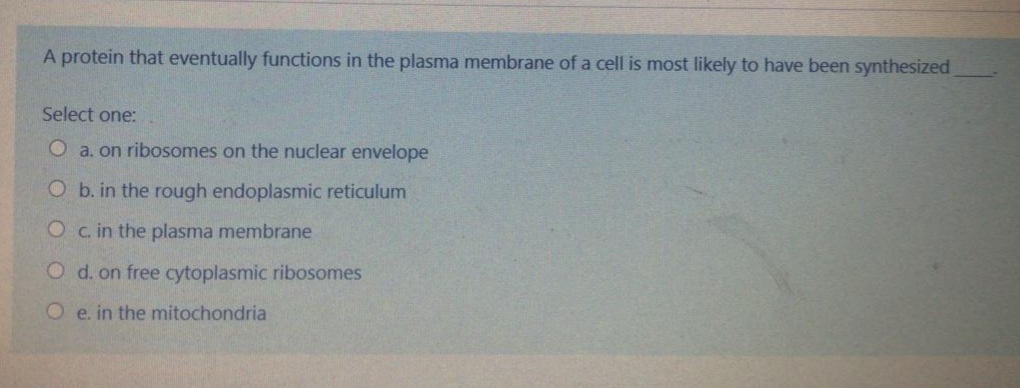 A protein that eventually functions in the plasma membrane of a cell is most likely to have been synthesized
Select one:
O a. on ribosomes on the nuclear envelope
O b. in the rough endoplasmic reticulum
O c in the plasma membrane
O d. on free cytoplasmic ribosomes
O e. in the mitochondria
