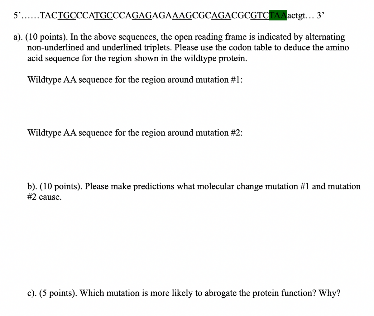5'....TACTGCCCATGCCCAGAGAGAAAGCGCAGACGCGTCTAA actgt... 3'
a). (10 points). In the above sequences, the open reading frame is indicated by alternating
non-underlined and underlined triplets. Please use the codon table to deduce the amino
acid sequence for the region shown in the wildtype protein.
Wildtype AA sequence for the region around mutation #1:
Wildtype AA sequence for the region around mutation #2:
b). (10 points). Please make predictions what molecular change mutation #1 and mutation
#2 cause.
c). (5 points). Which mutation is more likely to abrogate the protein function? Why?