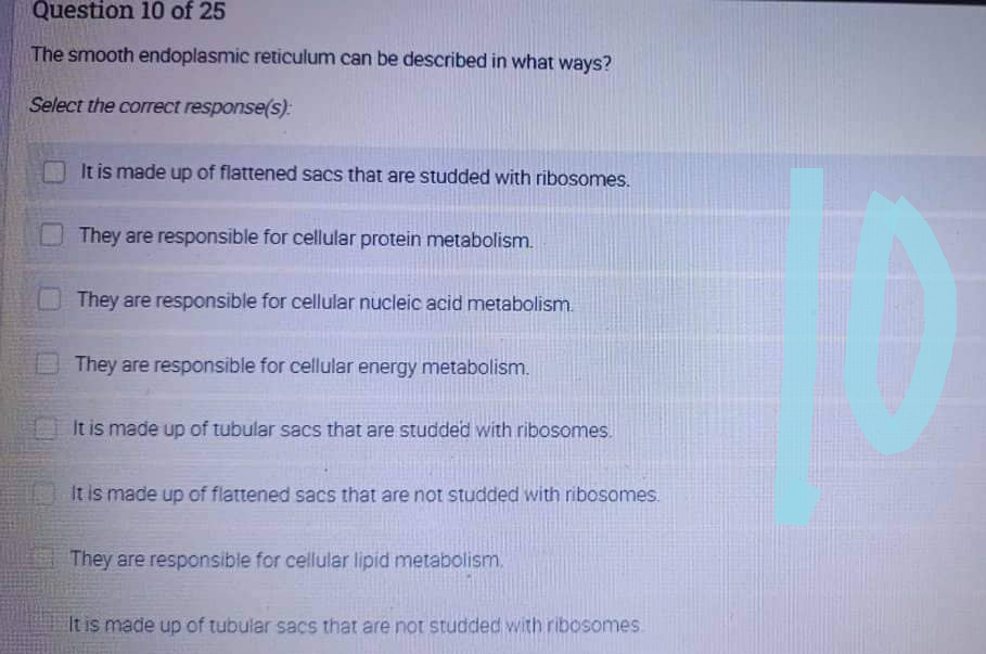 Question 10 of 25
The smooth endoplasmic reticulum can be described in what ways?
Select the correct response(s):
It is made up of flattened sacs that are studded with ribosomes.
They are responsible for cellular protein metabolism.
They are responsible for cellular nucleic acid metabolism.
They are responsible for cellular energy metabolism.
It is made up of tubular sacs that are studded with ribosomes.
It is made up of flattened sacs that are not studded with ribosomes.
They are responsible for cellular lipid metabolism.
It is made up of tubular sacs that are not studded with ribosomes.
10