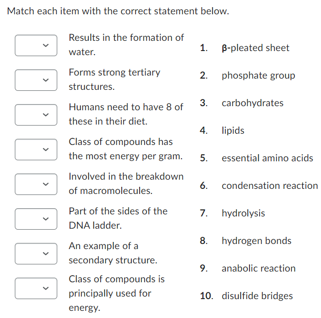 Match each item with the correct statement below.
Results in the formation of
water.
Forms strong tertiary
structures.
Humans need to have 8 of
these in their diet.
Class of compounds has
the most energy per gram.
Involved in the breakdown
of macromolecules.
Part of the sides of the
DNA ladder.
An example of a
secondary structure.
Class of compounds is
principally used for
energy.
1. B-pleated sheet
2.
3.
4.
5.
6.
8.
phosphate group
9.
carbohydrates
lipids
essential amino acids
7. hydrolysis
condensation reaction
hydrogen bonds
anabolic reaction
10. disulfide bridges