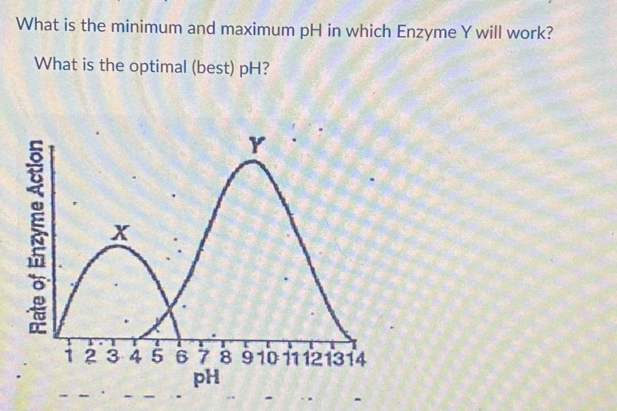 What is the minimum and maximum pH in which Enzyme Y will work?
What is the optimal (best) pH?
Y
1 2345 67891011121314
pH
Rate of Enzyme Action
