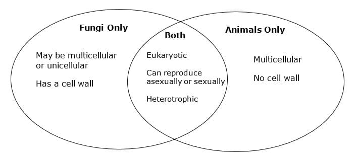 Fungi Only
Animals Only
Both
May be multicellular
or unicellular
Eukaryotic
Multicellular
Can reproduce
asexually or sexually
No cell wall
Has a cell wall
Heterotrophic
