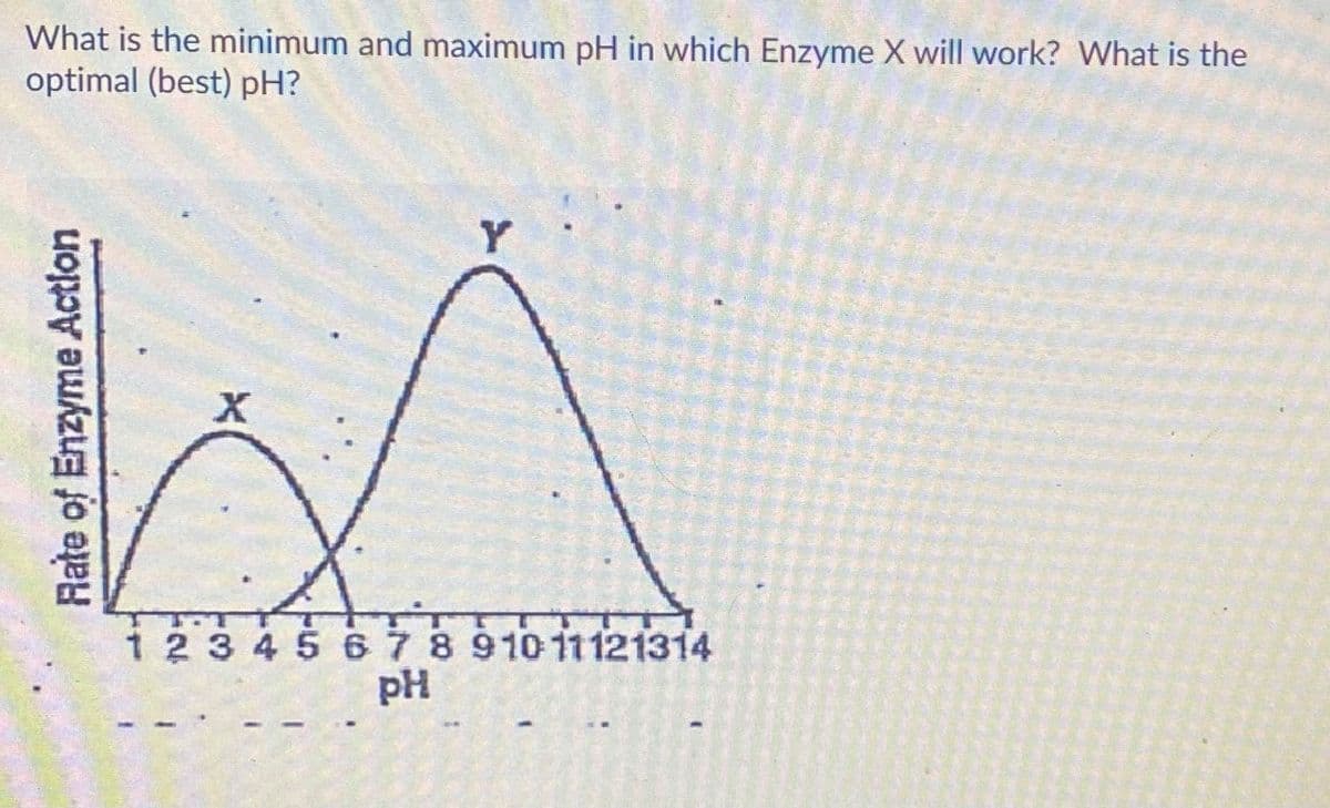 What is the minimum and maximum pH in which Enzyme X will work? What is the
optimal (best) pH?
Y
1 2 3 4 5 678 91011121314
pH
Rate of Enzyme Action
