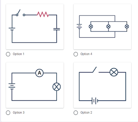 O Option 1
O Option 4
(A
O Option 3
O Option 2
