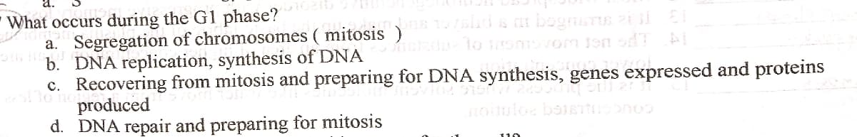 What occurs during the G1 phase?
a. Segregation of chromosomes ( mitosis )51alri s mi bognsTs zii EI
b. DNA replication, synthesis of DNA zd lo iromvom ten Đ
c. Recovering from mitosis and preparing for DNA synthesis, genes expressed and proteins
produced
d. DNA repair and preparing for mitosis
