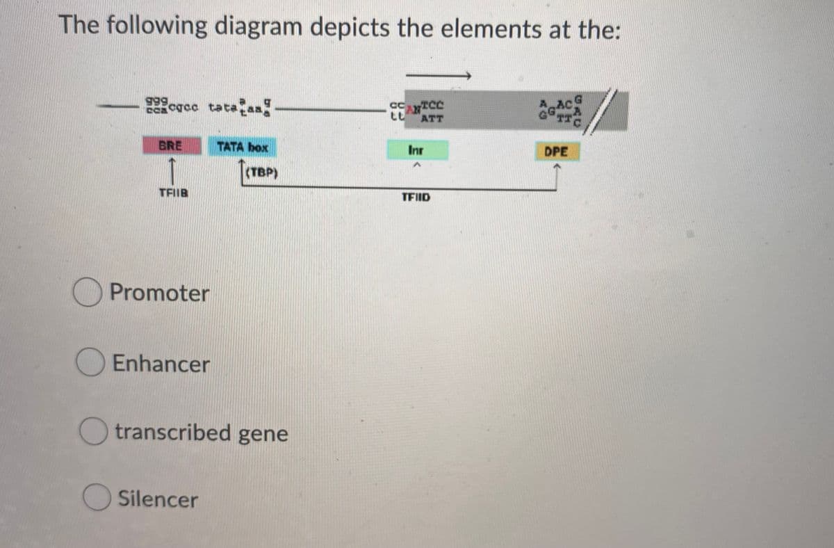 The following diagram depicts the elements at the:
999
2 cacc tata as
tatafan
A ACG
TTC
ATT
BRE
TATA box
Inr
DPE
(TBP)
TFIIB
TFIID
O Promoter
Enhancer
transcribed gene
Silencer
