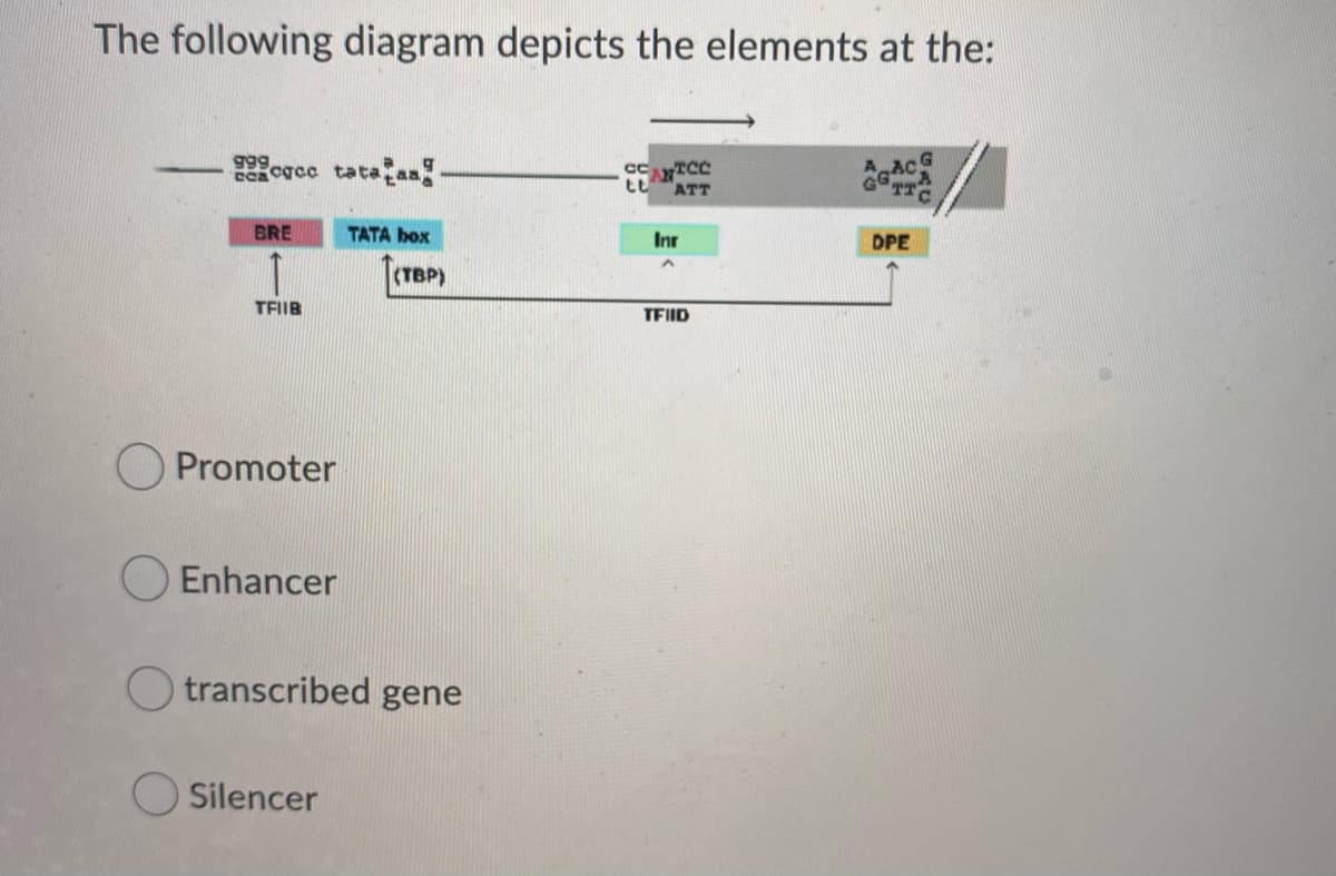 The following diagram depicts the elements at the:
Ac
TTC
g99
Ea cgcc tata an!
ATT
BRE
TATA box
Inr
DPE
(TBP)
TFIIB
TEIID
Promoter
Enhancer
O transcribed gene
O Silencer
