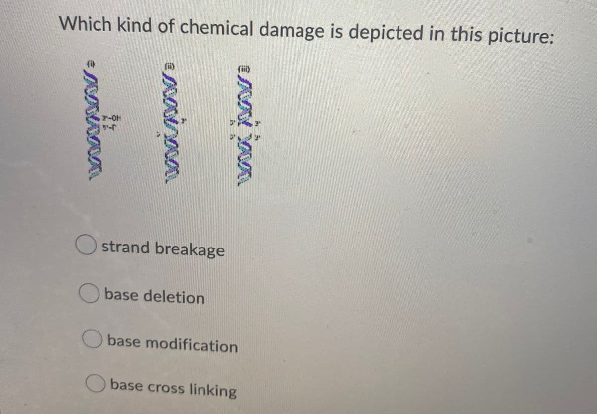 Which kind of chemical damage is depicted in this picture:
2-OH
Ostrand breakage
Obase deletion
Obase modification
O base cross linking
is in
