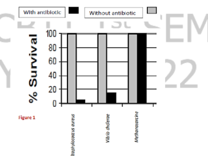 EM
with antibiotic
Without antibiotic
100
80-
60
22
40
20
Figure 1
% Survival
snaro sn0od ydos
Vibrio chcderae
Methanosarcine

