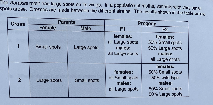 The Abraxas moth has large spots on its wings. In a population of moths, variants with very small
spots arose. Crosses are made between the different strains. The results shown in the table below.
Parents
Progeny
F2
Cross
Female
Male
F1
females:
50% Small spots
50% Large spots
males:
females:
all Large spots
1
Small spots
Large spots
males:
all Large spots
all Large spots
females:
50% Small spots
50% wild-type
males:
females:
all Small spots
Large spots
Small spots
males:
50% Small spots
50% Large spots
all Large spots
2.
