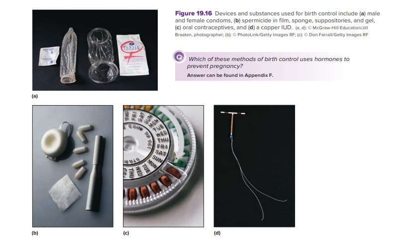 (a)
(b)
S
(c)
1960
WED
TUE
THU
FRI
SAT
SUN
MON
Figure 19.16 Devices and substances used for birth control include (a) male
and female condoms, (b) spermicide in film, sponge, suppositories, and gel,
(c) oral contraceptives, and (d) a copper IUD. (a. d): © McGraw-Hill Education/Jill
Braaten, photographer: (b): ⒸPhotoLink/Getty Images RF: (c): Ⓒ Don Farrall/Getty Images RF
Which of these methods of birth control uses hormones to
prevent pregnancy?
Answer can be found in Appendix F.
(d)