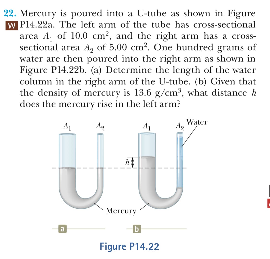 22. Mercury is poured into a U-tube as shown in Figure
P14.22a. The left arm of the tube has cross-sectional
area Aj of 10.0 cm2, and the right arm has a cross-
sectional area A2 of 5.00 cm2. One hundred grams of
water are then poured into the right arm as shown in
Figure P14.22b. (a) Determine the length of the water
column in the right arm of the U-tube. (b) Given that
the density of mercury is 13.6 g/cm3, what distance
does the mercurv rise in the left arm?
Water
Mercury
Fiqure P14.22
