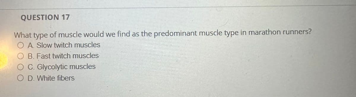 QUESTION 17
What type of muscle would we find as the predominant muscle type in marathon runners?
OA. Slow twitch muscles
OB. Fast twitch muscles
C. Glycolytic muscles
OD. White fibers