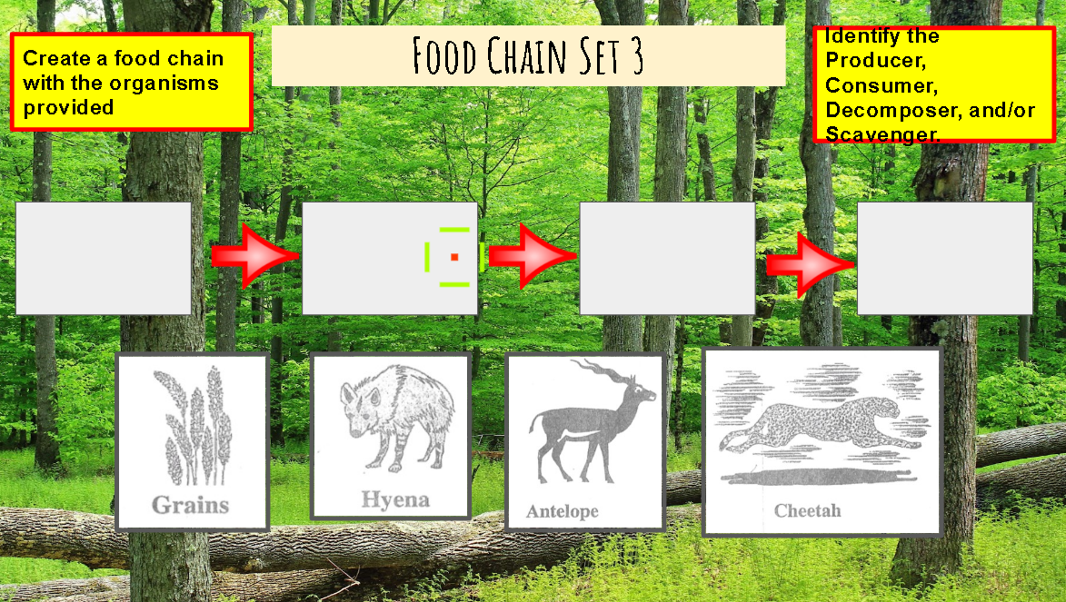 Identify the
Producer,
Consumer,
Decomposer, and/or
Scavenger.
FOOD CHAIN SET 3
Create a food chain
with the organisms
provided
Grains
Hyena
Cheetah
Antelope
