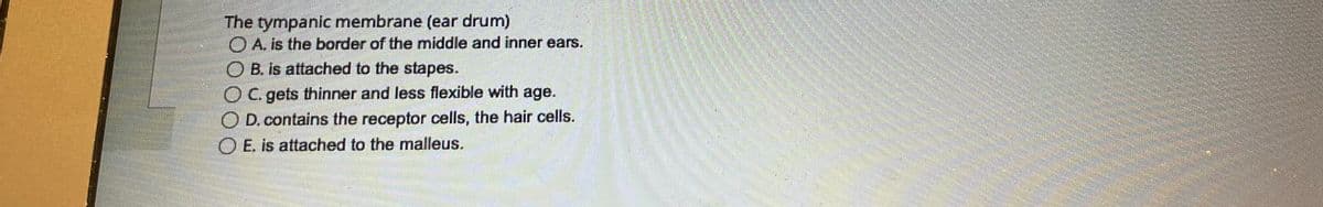 The tympanic membrane (ear drum)
A. is the border of the middle and inner ears.
OB. is attached to the stapes.
OC. gets thinner and less flexible with age.
OD. contains the receptor cells, the hair cells.
E. is attached to the malleus.