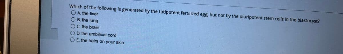 Which of the following is generated by the totipotent fertilized egg, but not by the pluripotent stem cells in the blastocyst?
O A. the liver
OB. the lung
OC. the brain
D. the umbilical cord
O E. the hairs on your skin