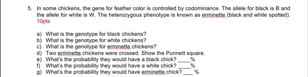 5. In some chickens, the gene for feather color is controlled by codominance. The allele for black is B and
the allele for white is W. The heterozygous phenotype is known as erminette (black and white spotted).
10pts
a) What is the genotype for black chickens?
b) What is the genotype for white chickens?
c) What is the genotype for erminette chickens?
d) Two erminette chickens were crossed. Show the Punnett square.
e) What's the probability they would have a black chick?
f) What's the probability they would have a white chick?
g) What's the probability they would have erminette chick?
%
%
