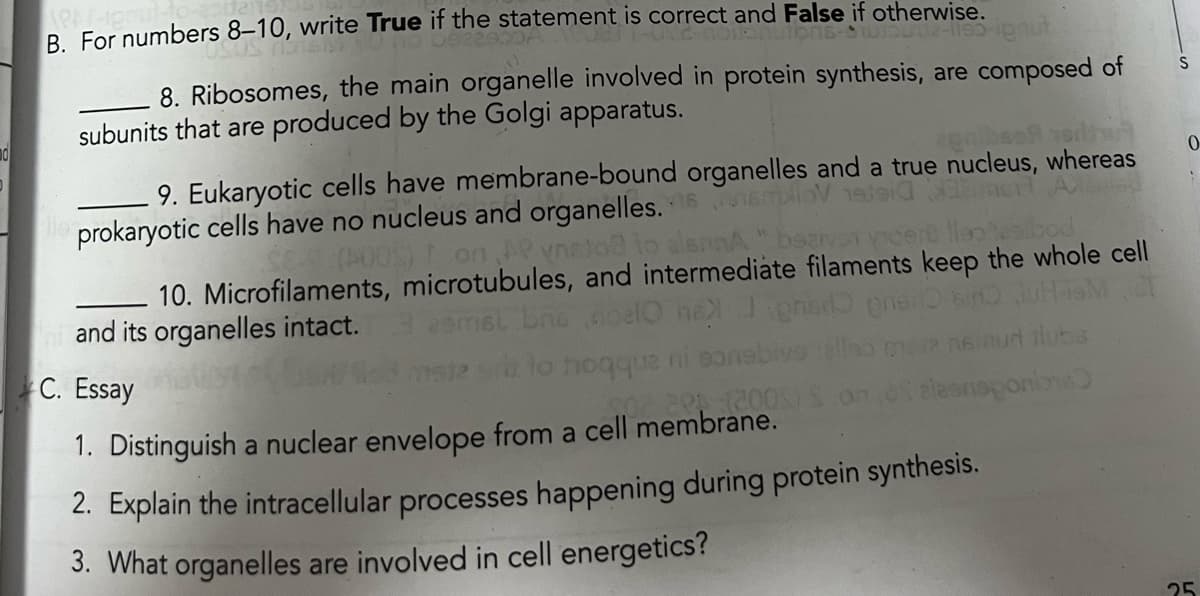 B. For numbers 8-10, write True if the statement is correct and False if otherwise.
Sutz-11e5-ignut
8. Ribosomes, the main organelle involved in protein synthesis, are composed of
subunits that are produced by the Golgi apparatus.
agalbas
9. Eukaryotic cells have membrane-bound organelles and a true nucleus, whereas
smlov metoder
prokaryotic cells have no nucleus and organelles.
(500) I on AP vneto to alsnnA
saivon vicerb lleo hesibod
10. Microfilaments, microtubules, and intermediate filaments keep the whole cell
bne noel he
and its organelles intact.
C. Essay
hoqque ni eonel
pns enero
ella mera neinud ilubs
OS) Son as aleansponions
1. Distinguish a nuclear envelope from a cell membrane.
2. Explain the intracellular processes happening during protein synthesis.
3. What organelles are involved in cell energetics?
S
0
25