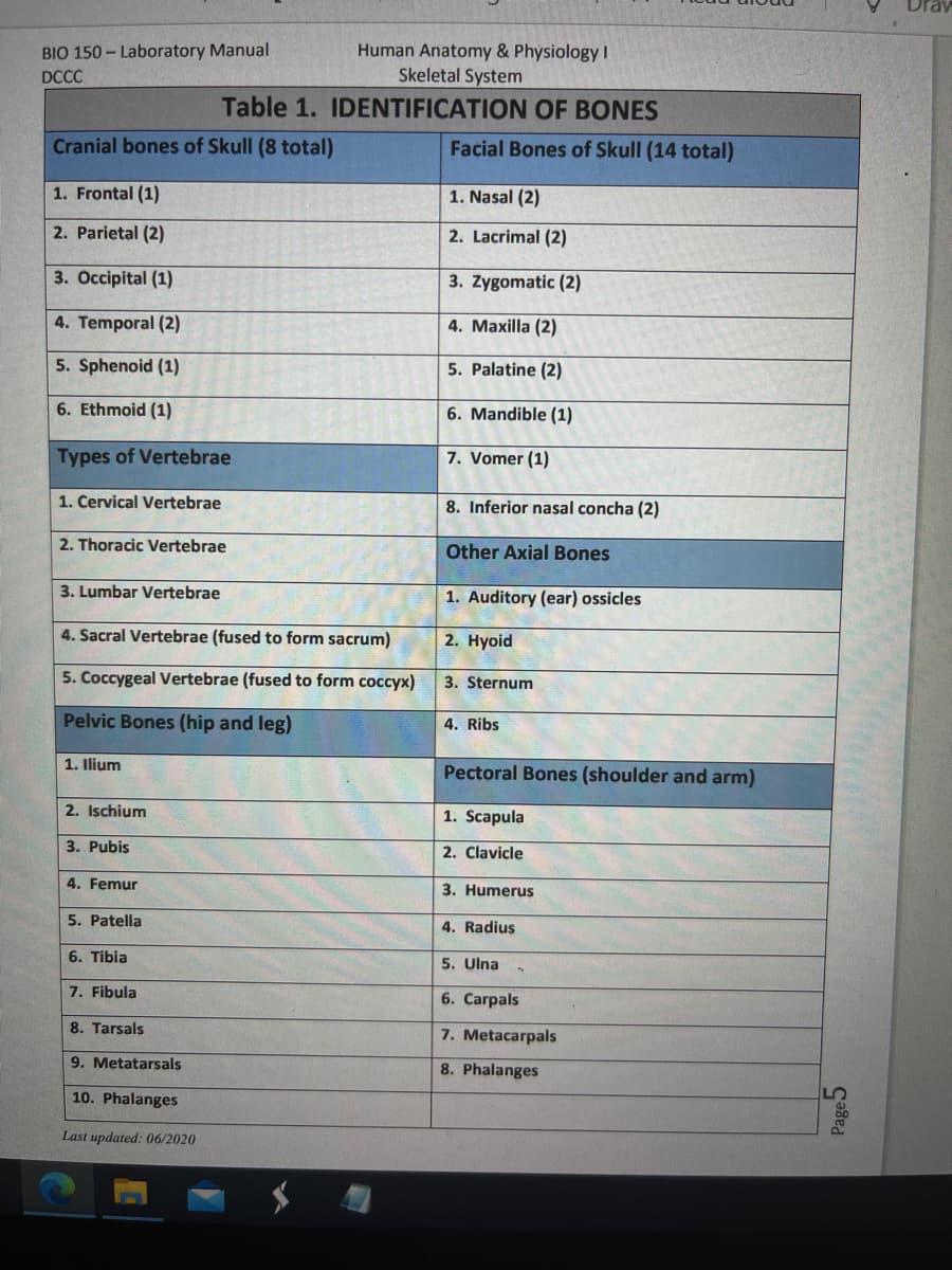 Human Anatomy & Physiology!
Skeletal System
BIO 150 - Laboratory Manual
DCCC
Table 1. IDENTIFICATION OF BONES
Cranial bones of Skull (8 total)
Facial Bones of Skull (14 total)
1. Frontal (1)
1. Nasal (2)
2. Parietal (2)
2. Lacrimal (2)
3. Occipital (1)
3. Zygomatic (2)
4. Temporal (2)
4. Maxilla (2)
5. Sphenoid (1)
5. Palatine (2)
6. Ethmoid (1)
6. Mandible (1)
Types of Vertebrae
7. Vomer (1)
1. Cervical Vertebrae
8. Inferior nasal concha (2)
2. Thoracic Vertebrae
Other Axial Bones
3. Lumbar Vertebrae
1. Auditory (ear) ossicles
4. Sacral Vertebrae (fused to form sacrum)
2. Hyoid
5. Coccygeal Vertebrae (fused to form coccyx)
3. Sternum
Pelvic Bones (hip and leg)
4. Ribs
1. Ilium
Pectoral Bones (shoulder and arm)
2. Ischium
1. Scapula
3. Pubis
2. Clavicle
4. Femur
3. Humerus
5. Patella
4. Radius
6. Tibia
5. Ulna
7. Fibula
6. Carpals
8. Tarsals
7. Metacarpals
9. Metatarsals
8. Phalanges
10. Phalanges
Last updated: 06/2020
Page5
