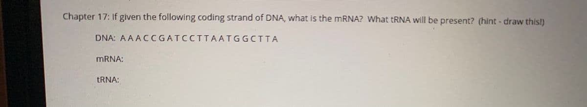 Chapter 17: If given the following coding strand of DNA, what is the mRNA? What tRNA will be present? (hint - draw this!)
DNA: AAACCGATCCTTAATGGCITA
MRNA:
TRNA:
