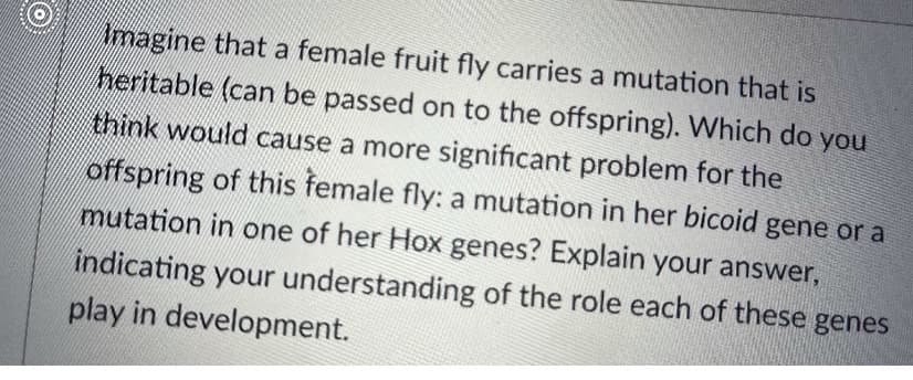 imagine that a female fruit fly carries a mutation that is
heritable (can be passed on to the offspring). Which do you
think would cause a more significant problem for the
offspring of this female fly: a mutation in her bicoid gene or a
mutation in one of her Hox genes? Explain your answer,
indicating your understanding of the role each of these genes
play in development.
