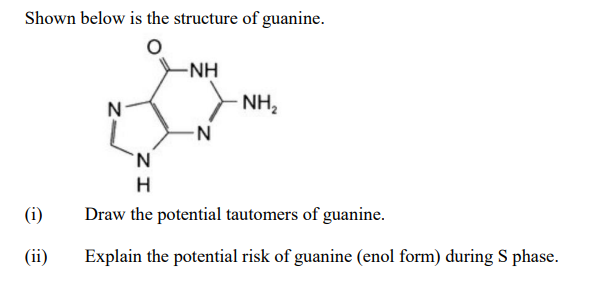 Shown below is the structure of guanine.
-NH
N
NH₂
-N
H
Draw the potential tautomers of guanine.
Explain the potential risk of guanine (enol form) during S phase.
(i)
(ii)
N
ΙΖ