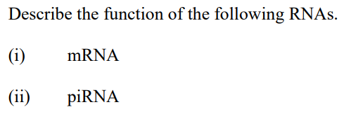 Describe the function of the following RNAs.
(i)
mRNA
(ii)
piRNA