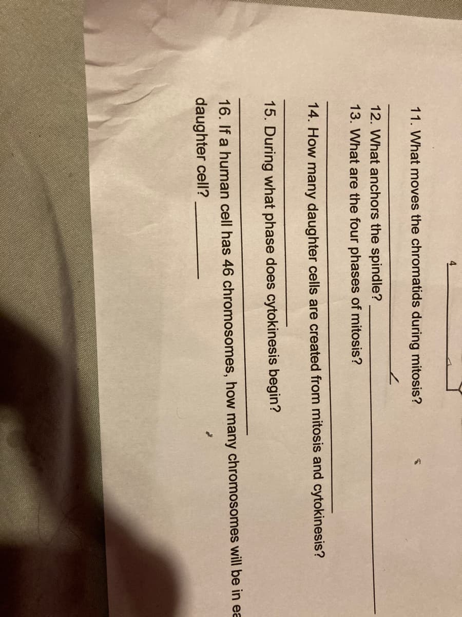 11. What moves the chromatids during mitosis?
12. What anchors the spindle?
13. What are the four phases of mitosis?
14. How many daughter cells are created from mitosis and cytokinesis?
15. During what phase does cytokinesis begin?
16. If a human cell has 46 chromosomes, how many chromosomes will be in ea
daughter cell?
