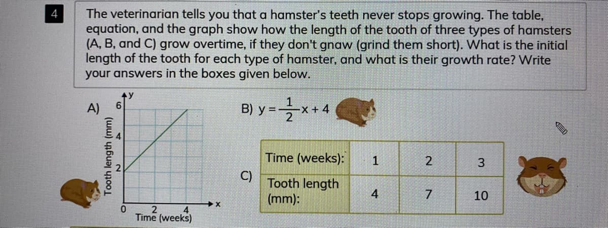 The veterinarian tells you that a hamster's teeth never stops growing. The table,
equation, and the graph show how the length of the tooth of three types of hamsters
(A, B, and C) grow overtime, if they don't gnaw (grind them short). What is the initial
length of the tooth for each type of hamster, and what is their growth rate? Write
your answers in the boxes given below.
4
A)
B) y =
Time (weeks):
2
3
C)
Tooth length
(mm):
4
7
10
0.
Time (weeks)
4
1.
21
Tooth length (mm)
