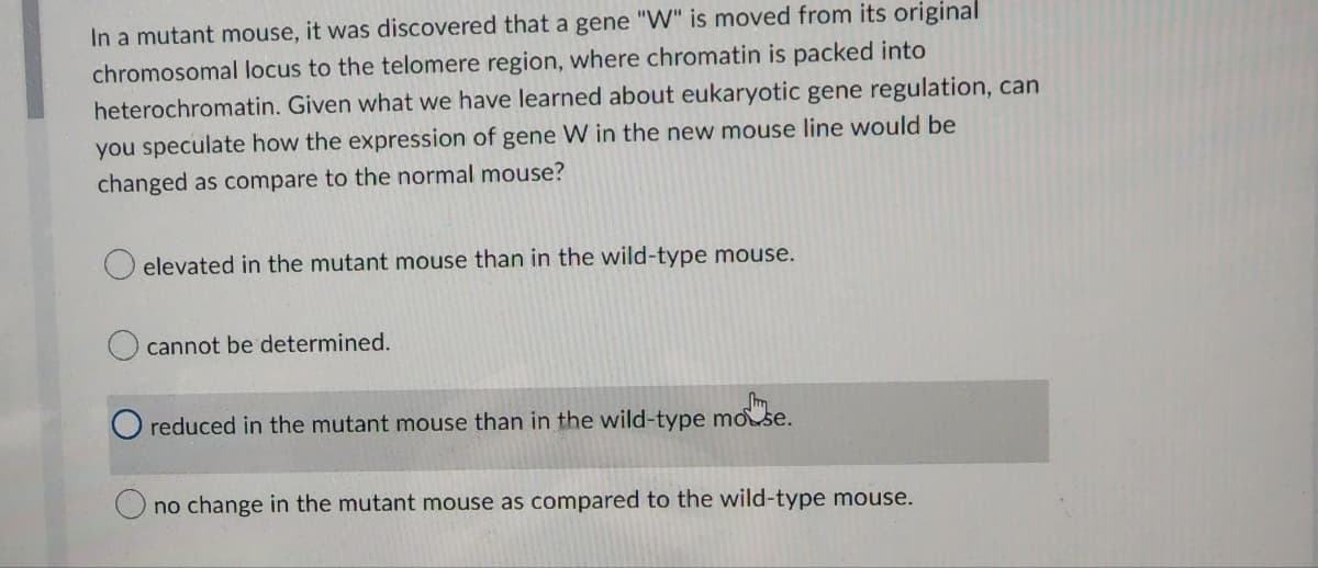 In a mutant mouse, it was discovered that a gene "W" is moved from its original
chromosomal locus to the telomere region, where chromatin is packed into
heterochromatin. Given what we have learned about eukaryotic gene regulation, can
you speculate how the expression of gene W in the new mouse line would be
changed as compare to the normal mouse?
elevated in the mutant mouse than in the wild-type mouse.
cannot be determined.
O reduced in the mutant mouse than in the wild-type mouse.
change in the mutant mouse as compared to the wild-type mouse.