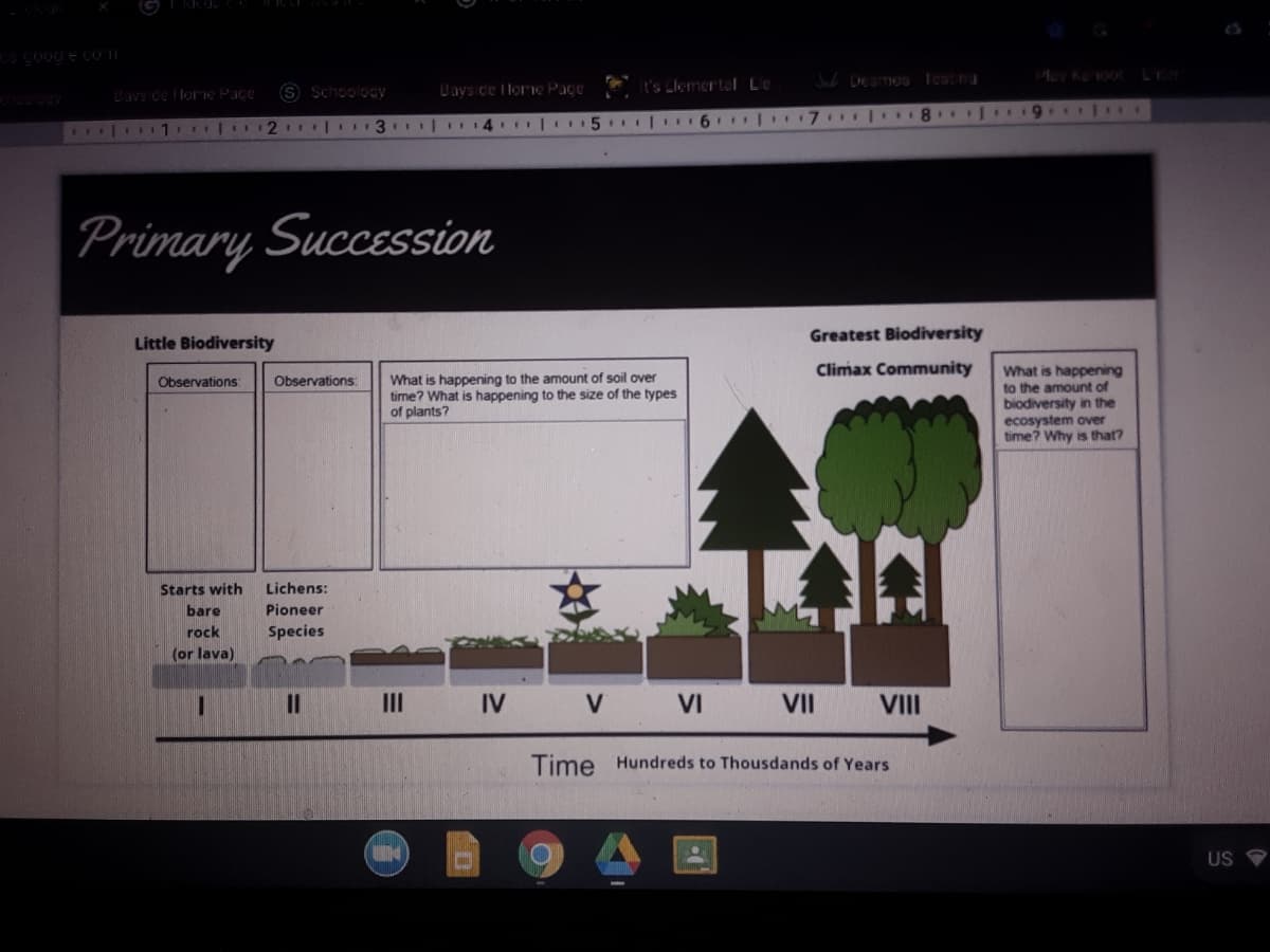 It's Llemertal Le
WDeamos leacna
S Schoology
Dayside I lorne Page
Davs de lorie Pace
| 11 11
Primary Succession
Little Biodiversity
Greatest Biodiversity
Climax Community
What is happening
What is happening to the amount of soil over
time? What is happening to the size of the types
of plants?
Observations
Observations:
to the amount of
biodiversity in the
ecosystem over
time? Why is that?
Starts with
Lichens:
bare
Pioneer
rock
Species
(or lava)
%3D
II
IV
V VI
VII
VII
Time Hundreds to Thousdands of Years
US
