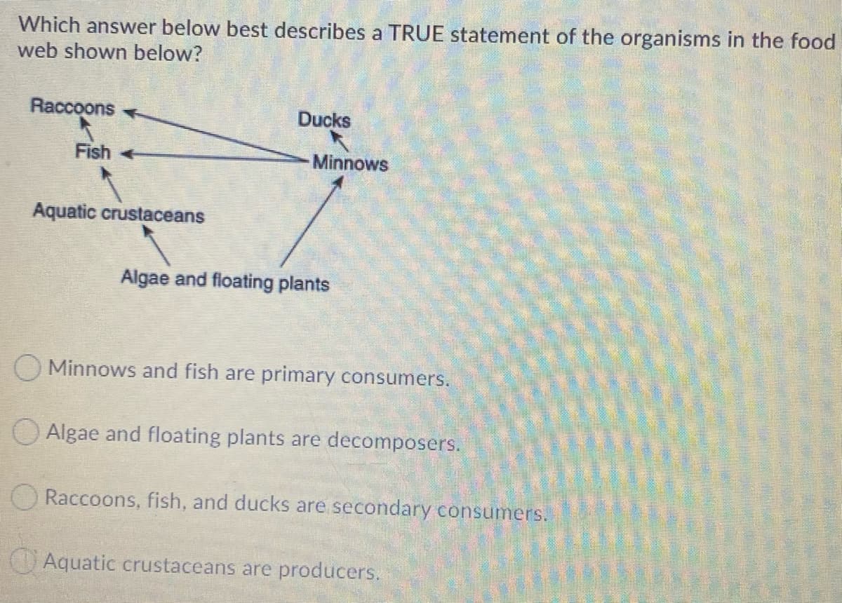 Which answer below best describes a TRUE statement of the organisms in the food
web shown below?
Raccoons
Ducks
Fish +
Minnows
Aquatic crustaceans
Algae and floating plants
Minnows and fish are primary consumers.
O Algae and floating plants are decomposers.
Raccoons, fish, and ducks are secondary consumers.
Aquatic crustaceans are producers.
