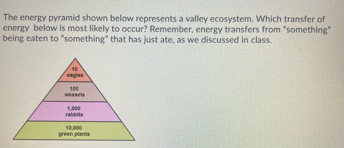 The energy pyramid shown below represents a valley ecosystem. Which transfer of
energy below is most likely to occur? Remember, energy transfers from "something"
being eaten to "something" that has just ate, as we discussed in class.
10
eagles
100
weasels
1,000
rabbits
10,000
green plants
