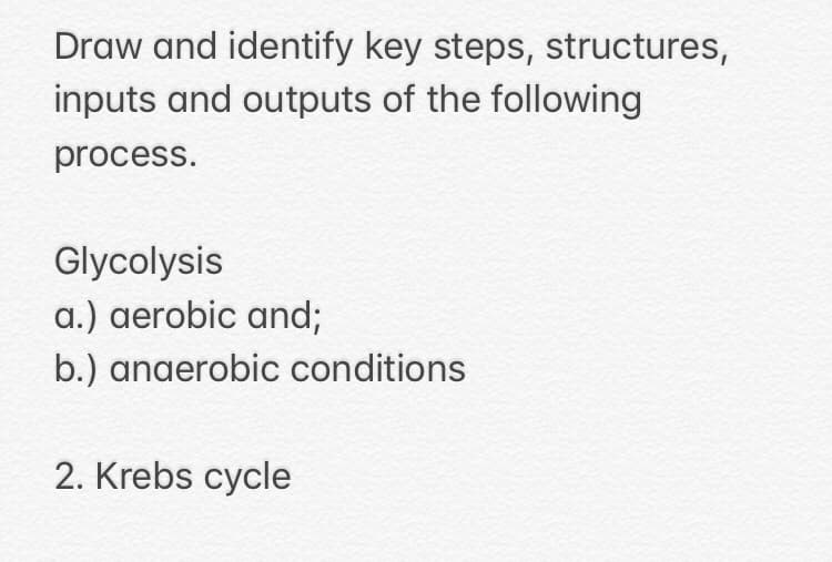 Draw and identify key steps, structures,
inputs and outputs of the following
process.
Glycolysis
a.) aerobic and;
b.) anaerobic conditions
2. Krebs cycle
