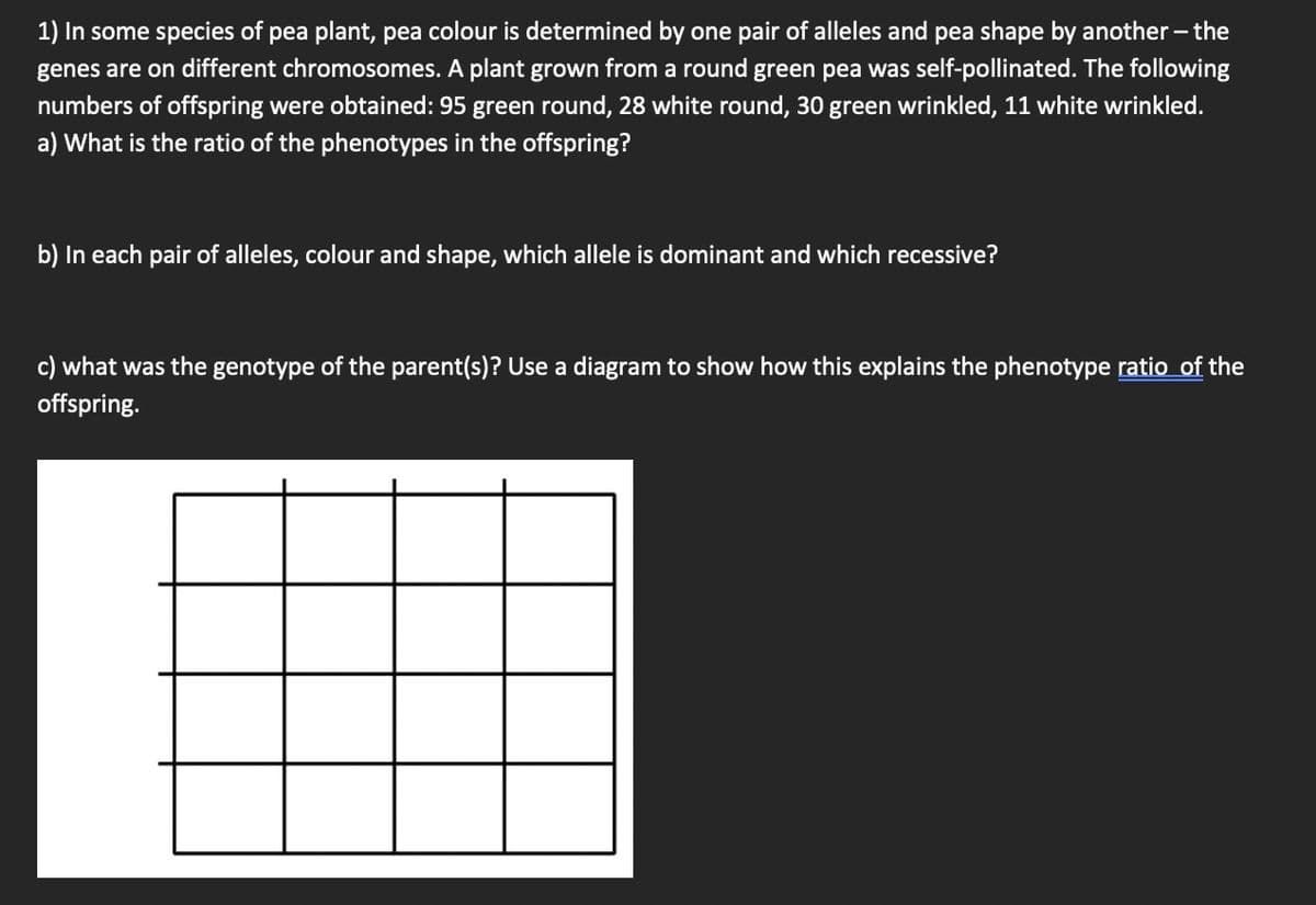 1) In some species of pea plant, pea colour is determined by one pair of alleles and pea shape by another - the
genes are on different chromosomes. A plant grown from a round green pea was self-pollinated. The following
numbers of offspring were obtained: 95 green round, 28 white round, 30 green wrinkled, 11 white wrinkled.
a) What is the ratio of the phenotypes in the offspring?
b) In each pair of alleles, colour and shape, which allele is dominant and which recessive?
c) what was the genotype of the parent(s)? Use a diagram to show how this explains the phenotype ratio of the
offspring.