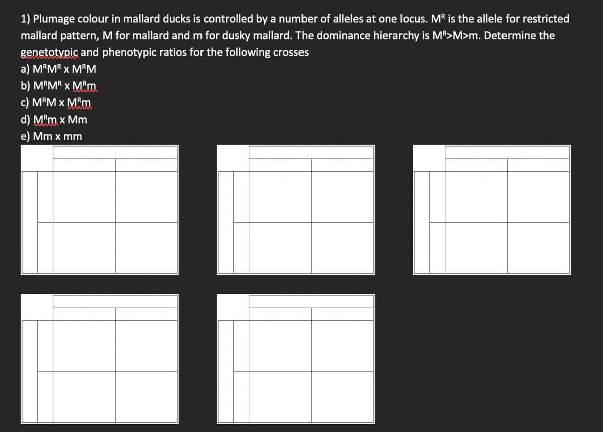 1) Plumage colour in mallard ducks is controlled by a number of alleles at one locus. MR is the allele for restricted
mallard pattern, M for mallard and m for dusky mallard. The dominance hierarchy is MR>M>m. Determine the
genetotypic and phenotypic ratios for the following crosses
a) MRMR X MRM
b) MRMR X MⓇm
c) MⓇM x MⓇm
d) MⓇm x Mm
e) Mm x mm