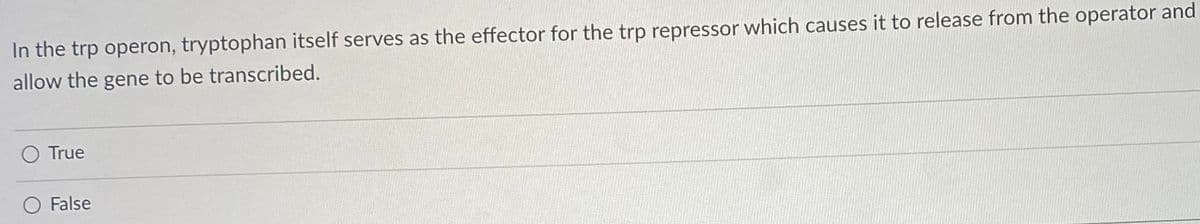 In the trp operon, tryptophan itself serves as the effector for the trp repressor which causes it to release from the operator and
allow the gene to be transcribed.
O True
O False
