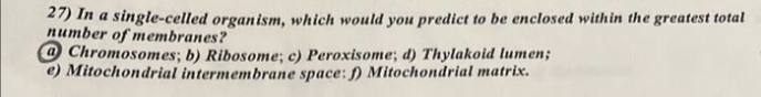 27) In a single-celled organism, which would you predict to be enclosed within the greatest total
number of membranes?
Chromosomes; b) Ribosome; c) Peroxisome; d) Thylakoid lumen;
e) Mitochondrial intermembrane space: f) Mitochondrial matrix.